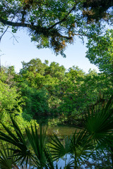 Backwoods narrow lazy river at Halpatiokee Regional Park, Stuart, Florida, USA
