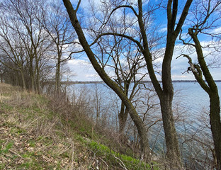 lakeside trees blue skies