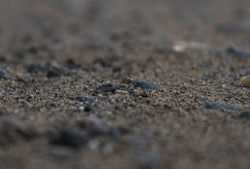 close up of soil