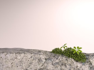 Background for cosmetic product branding, identity and packaging inspiration. light masonry podium with tan color background. 3d rendering illustration.