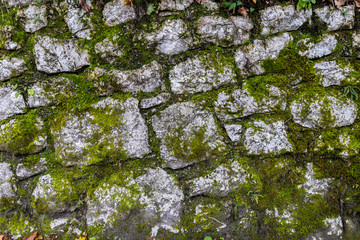 Wall of arranged rocks covered by moss.