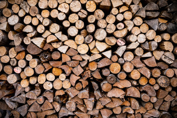 Close focus on cut log softwoods