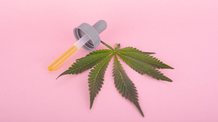 cannabis leaf and pipette with THC on a pink background, medical hemp