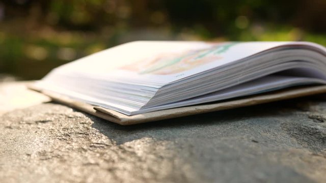 Book's pages turning by the wind that blows gently with sun shining on rocks in the forest. Concept of lifestyle in summer vacation and education.