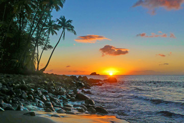 Beauté de la Martinique