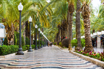 Esplanada Boulevard in the city of Alicante. Alicante province. Spain
