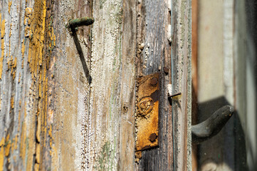 the wood of an old windowsill, and the rusty handle of the window