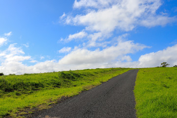 road in the field