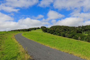 country road in the countryside Kiama, NSW Australia