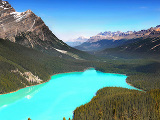 Beautiful mountains and Peyto lake in Canadian Rockies Canada