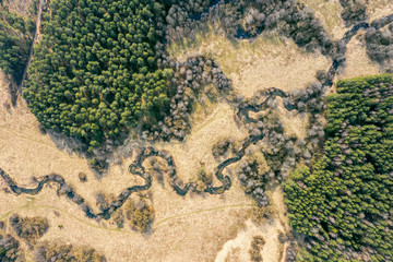 sunny landscape with winding river among green forest. springtime. top view aerial photo