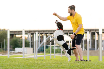 Handsome hipster man walking her dog and playing together. Friendship loving bond between owner and pet hunting dog. Funny expressive leisure time. Faithful friends of human. Companionship.