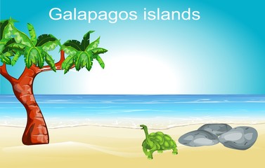 Galapagos islands nature scene, turtle on the ocean's coast, vector 