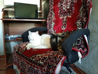 Пушистости