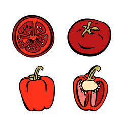 Set of color vector illustrations. Tomato and bell pepper. Whole and halves. Isolated on a white background.