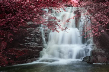 Vlies Fototapete Schlafzimmer Majestätischer Wasserfall im Waldlandschaftsbild mit zusätzlichem Drama der falschen Farbe auf Bäumen im Wald