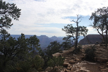 Grand Canyon, AZ, USA