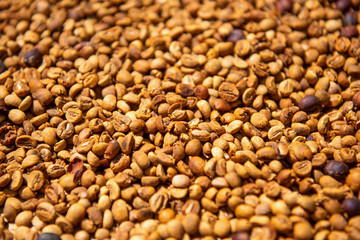 Raw beans of luwak coffee. Bali, Indonesia