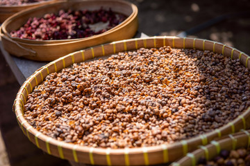 Raw beans of luwak coffee. Bali, Indonesia
