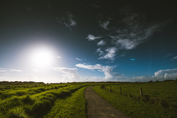 Obraz premium New Plymouth Coastal Walkway, Taranaki, New Zealand