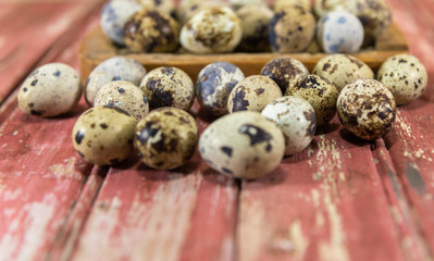 Quail eggs (Coturnix coturnix coturnix) scattered on a reddish wooden background