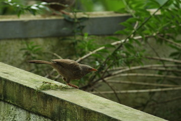 Beautiful nature and its different macro living forms 