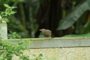 Beautiful nature and its different macro living forms 
