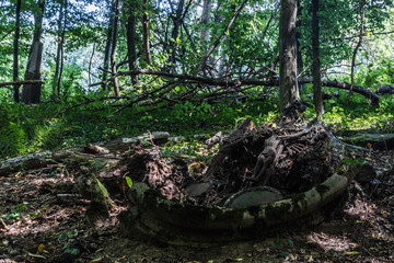 zwei rostige kreuze auf einem verlassenen waldfriedhof
