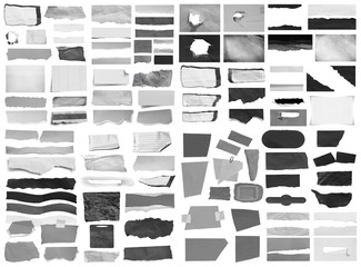Collection of ripped torn paper isolated on white background
