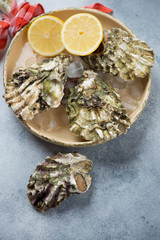 Fresh unopened oysters with lemon on ice in a serving pan, studio shot on a light-blue stone surface