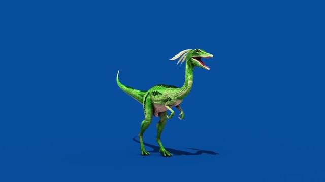 Compy Jurassic Dinosaur Attacks Blue Screen Front 3D Rendering Animation