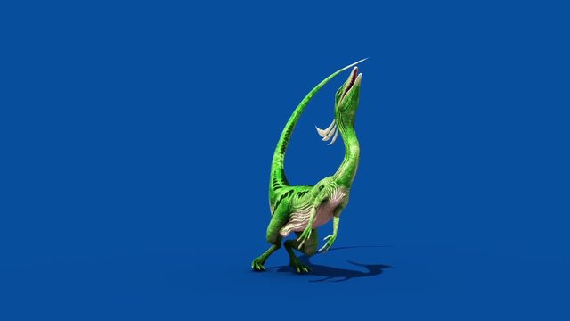 Compy Jurassic Dinosaur Die Blue Screen Front 3D Rendering Animation