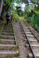 Old train  rairoad at  Karangahake gorge in New Zealand