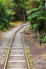 Obraz premium Old train rairoad at Karangahake gorge in New Zealand