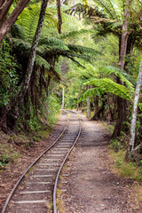 Fototapeta na wymiar Old train rairoad at Karangahake gorge in New Zealand