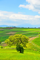 Fototapeta na wymiar The countryside landscape in the province of Benevento, Italy 