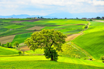 Fototapeta na wymiar The countryside landscape in the province of Benevento, Italy 