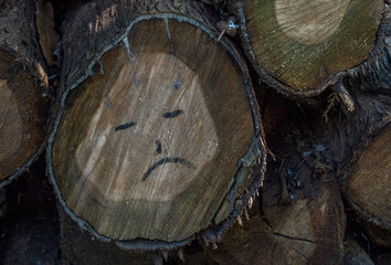A sad face sketch drawn on the side of a log of wood image in horizontal format