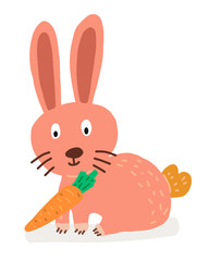 rabbit with carrot cartoon / vector and illustration isolated on white background