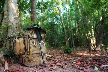 camper backpack with medicine bag and hiking or walking pole with hat for trekking and camping in forest or jungle with green tree for holiday relax and vacation travel trip with adventure on nature