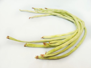 Pale green yardlong bean in isolated white background. 