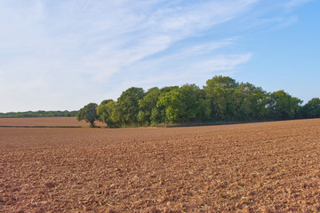Fototapeta na wymiar Ploughed, muddy field in Herefordshire countryside
