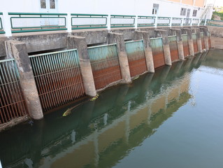 The entrance of the floodgate for agriculture.