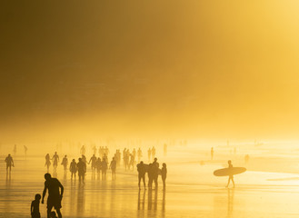 Fototapeta premium golden light on a surf beach in France