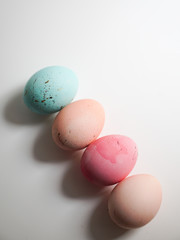 Easter eggs on a white background