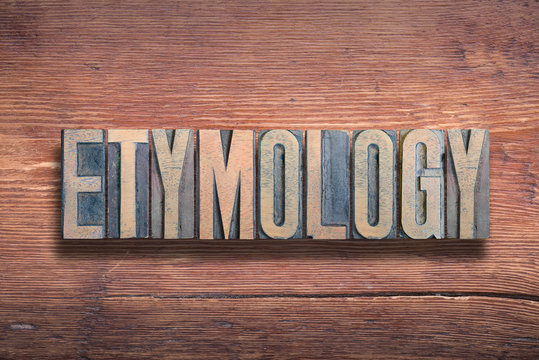 etymology word wood