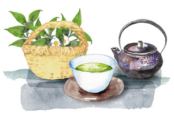 日本茶水彩画