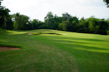 Beautiful golf course in a sunny day.
