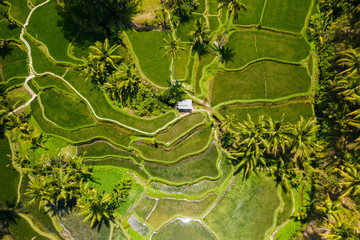 Top down aerial view of beautiful rice terraces
