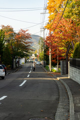 Fototapeta na wymiar Stunning Japanese autumn colors